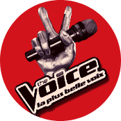 the voice